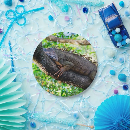 Assiettes En Carton Costa Rica, Muelle - Lazy Iguana reposant dans un (Fête)