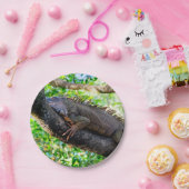 Assiettes En Carton Costa Rica, Muelle - Lazy Iguana reposant dans un  (Fête)