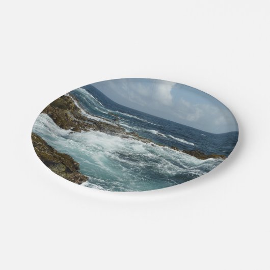 Assiettes En Carton Côte rocheuse d'Aruba et océan bleu (Angle)