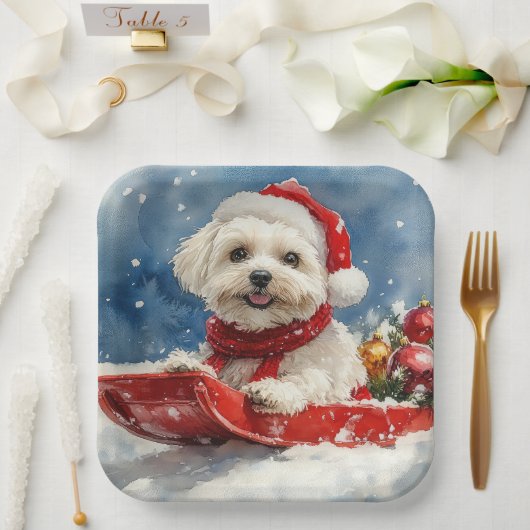 Assiettes En Carton Coton De Tulear dans la boue Laisser passer la nei (Mariage)