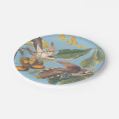 Assiettes En Carton Coucou à bec jaune Audubon (Angle)