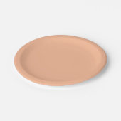 Assiettes En Carton Couleur solide Fuzz Peach (Angle)