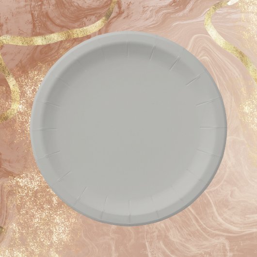 Assiettes En Carton Couleur solide gris clair