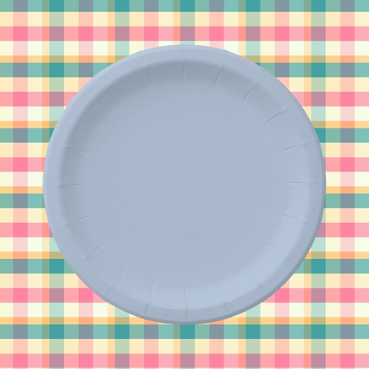 Assiettes En Carton Couleur uni bleu clair en acier