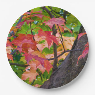 Assiettes En Carton Couleurs Mariages de automne rustiques Autumn Foli