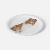Assiettes En Carton Coupe Collie, Amoureux des chiens chiot (Angle)