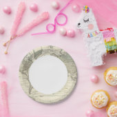 Assiettes En Carton Courbes isothermes du système d'Alexander von Humb (Fête)