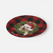 Assiettes En Carton Couronne d'or sur le plaid de buffle (Angle)