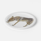 Assiettes En Carton Coyote (Angle)