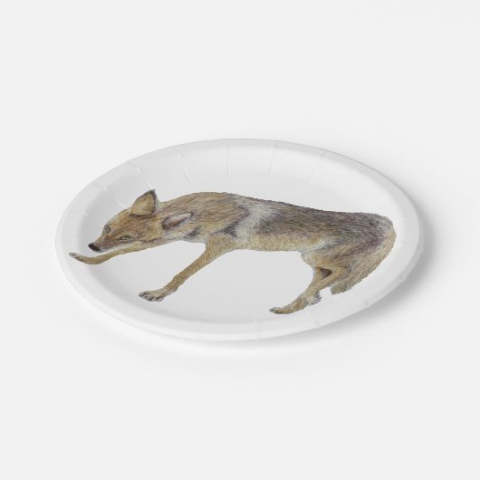 Assiettes En Carton Coyote (Angle)