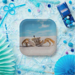 Assiettes En Carton Crabe et plage