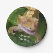 Assiettes En Carton Crested Gecko (Devant)