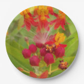 Assiettes En Carton Crète tes Propres boutons de fleurs vert rouge (Devant)