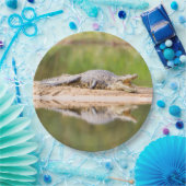 Assiettes En Carton Crocodile (Fête)