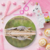 Assiettes En Carton Crocodile (Fête)