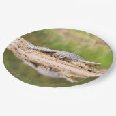 Assiettes En Carton Crocodile (Angle)