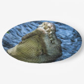 Assiettes En Carton Crocodile Dents Eau (Angle)