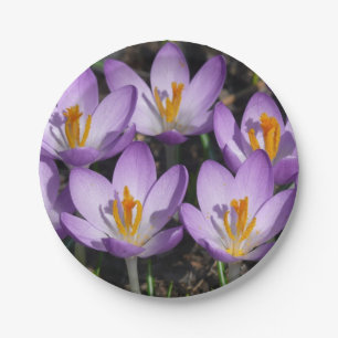 Assiettes En Carton Crocus violets ensoleillés