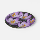 Assiettes En Carton Crocus violets ensoleillés (Angle)