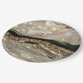 Assiettes En Carton Crotale dans le parc national de Shenandoah (Angle)