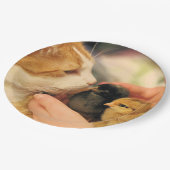 Assiettes En Carton Cubes (Angle)