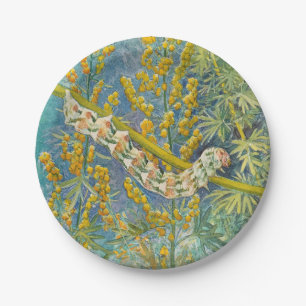 Assiettes En Carton Cucullia Absinthii Wormwood