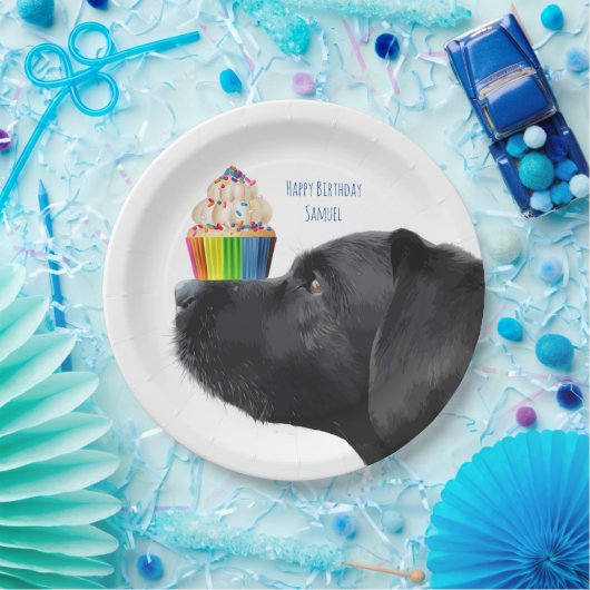 Assiettes En Carton Cupcake - Black Lab (Fête)