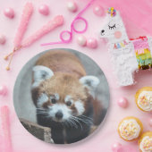 Assiettes En Carton Cute (Fête)