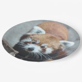 Assiettes En Carton Cute (Angle)