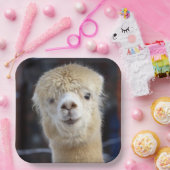 Assiettes En Carton Cute Alpaca face (Fête)