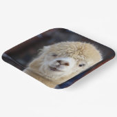 Assiettes En Carton Cute Alpaca face (Angulaire)