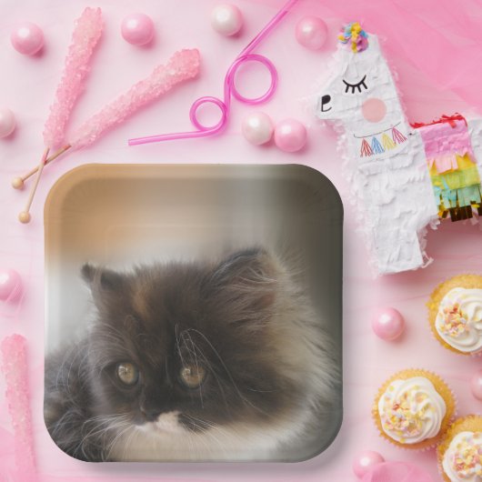 Assiettes En Carton Cute chat (Fête)