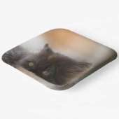Assiettes En Carton Cute chat (Angulaire)
