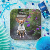 Assiettes En Carton Cute Chihuahua (Fête)