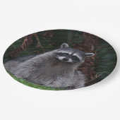 Assiettes En Carton Cute Forest Raccoon Photo Faune (Angle)