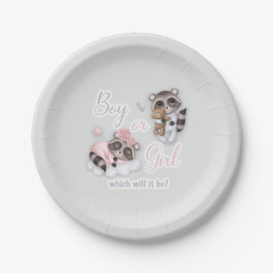 Assiettes En Carton Cute Garçon Fille Bébé Raccoons Genre Révéler