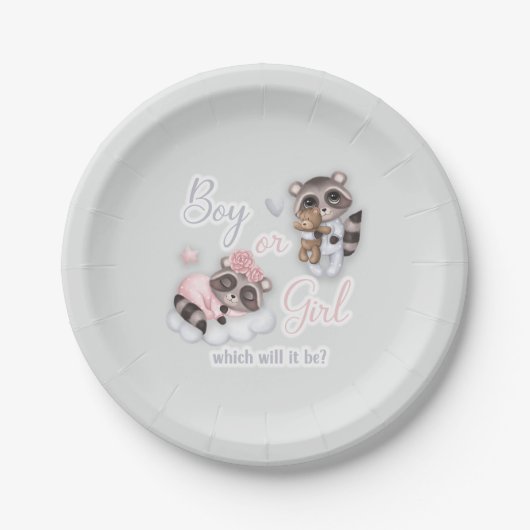 Assiettes En Carton Cute Garçon Fille Bébé Raccoons Genre Révéler (Devant)