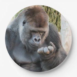 ASSIETTES EN CARTON CUTE GORILLA