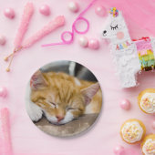 Assiettes En Carton Cute Kitten (Fête)
