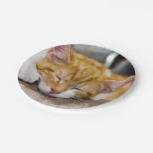 Assiettes En Carton Cute Kitten (Angle)