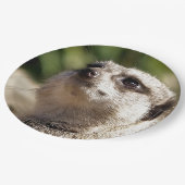 ASSIETTES EN CARTON CUTE MEERKAT (Angle)