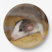 Assiettes En Carton Cute rat (Devant)