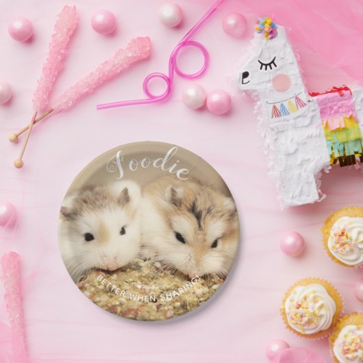 Assiettes En Carton Cute Robo Hamsters Foin (Fête)