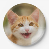 Assiettes En Carton Cute Smiling Kitten Visage Drôle Chat Meow Photo - (Devant)