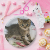 Assiettes En Carton Cute Tabby Kitten À L'Air Surpris (Fête)
