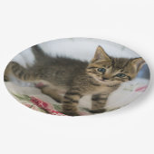 Assiettes En Carton Cute Tabby Kitten À L'Air Surpris (Angle)