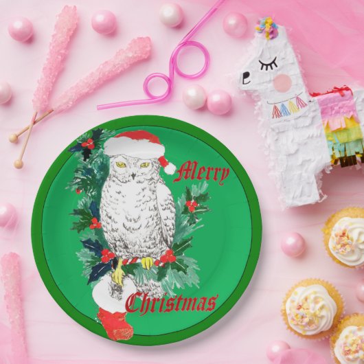 Assiettes En Carton Cute Whimsical Chouette de Noël Stocking conçu (Fête)