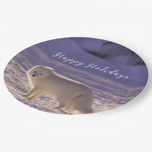 Assiettes En Carton Cute White Arctic Fox neige hiver Photographie (Angle)