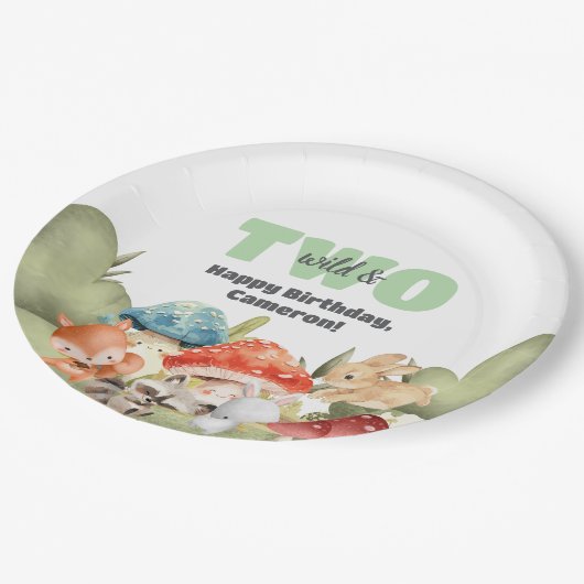 Assiettes En Carton Cute Woodland Animals 2nd Birthday Party (Angle)