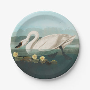 Assiettes En Carton cygne audubon cygnes d'eau blanche